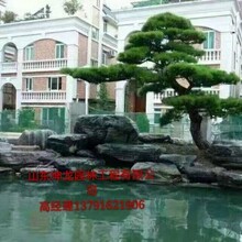 山東坤龍園林工程