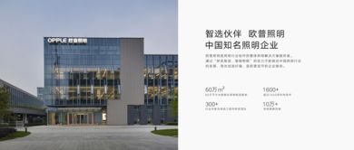 全視角解析 產(chǎn)品價(jià)格、參數(shù)、圖片與技術(shù)服務(wù)的綜合評估