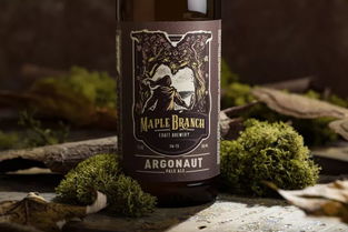 匠心與品味 精品啤酒包裝設(shè)計(jì)與酒類(lèi)經(jīng)營(yíng)新思維